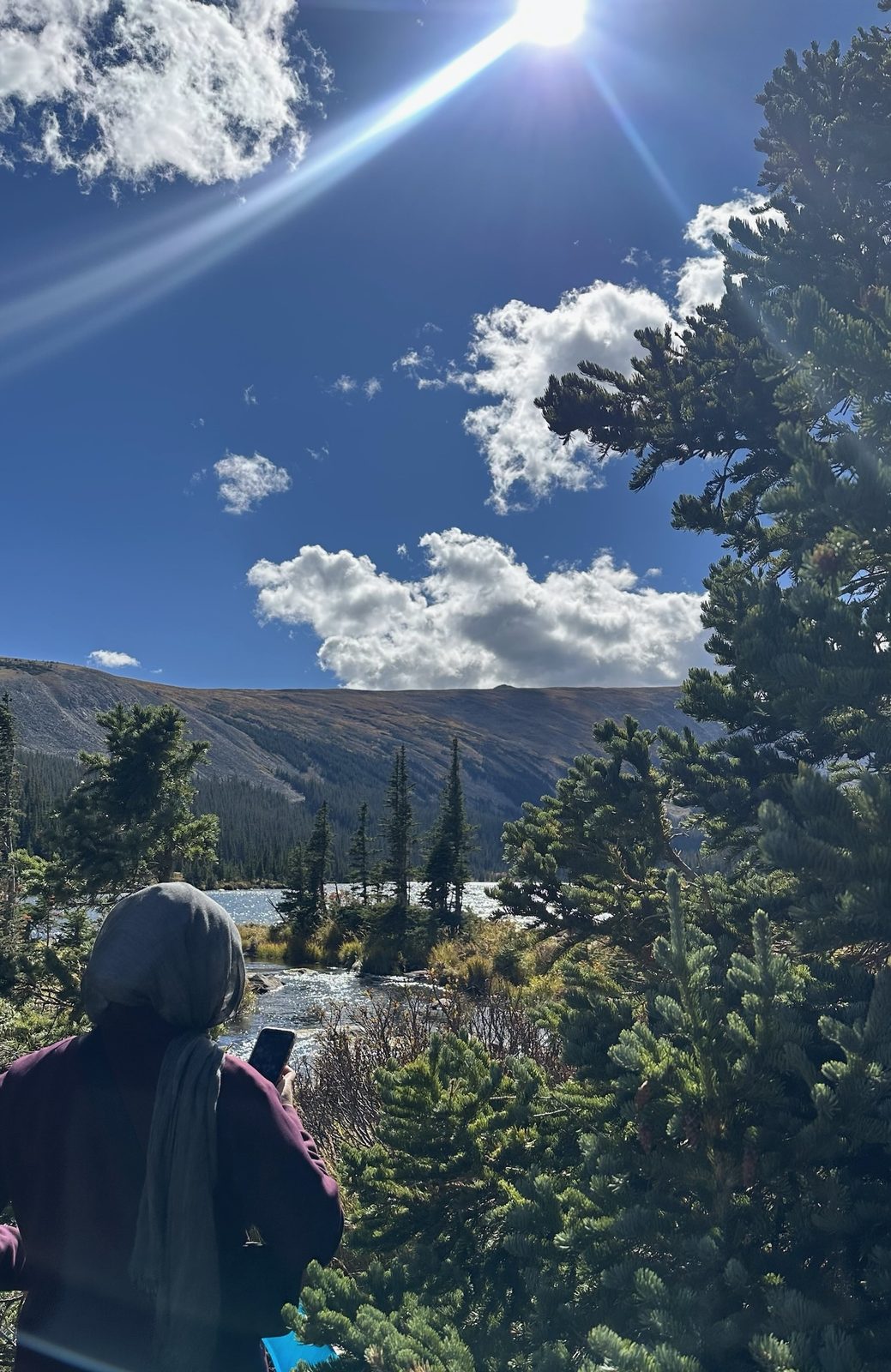 Looking out over an alpine lake and pine trees under a bright sun