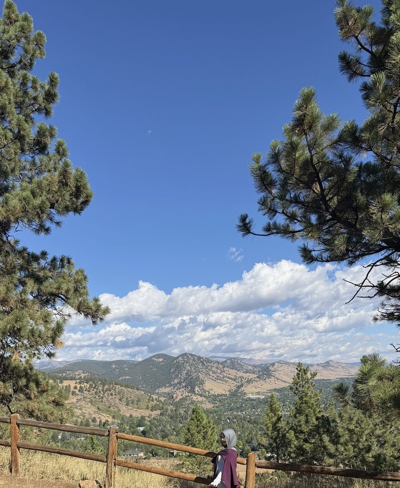 Standing by a wooden fence at a mountain overlook framed by pine trees